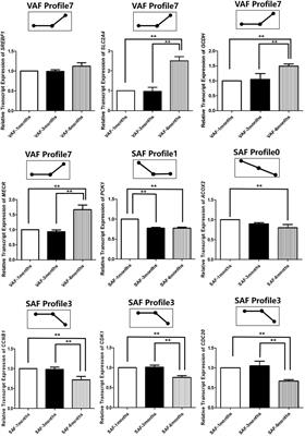 Comparative Transcriptome Analysis Provides Insight into Spatio-Temporal Expression Characteristics and Genetic Regulatory Network in Postnatal Developing Subcutaneous and Visceral Fat of Bama Pig